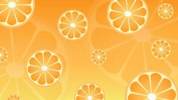 Floating background image of orange slices 01 vector