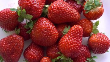 Erdbeeren wie Hintergrund video