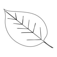 Leaf Continuous single one line drawing illustration art design vector