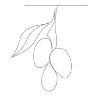 Continuous single one line drawing mango fruit with leaf art vector