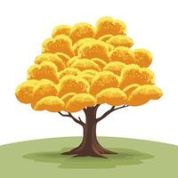 Beautiful autumn tree with a yellow crown of leaves. Blooming tree in autumn. illustration vector