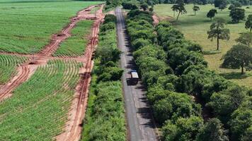 caminhão em rodovia Próximo para plantação video