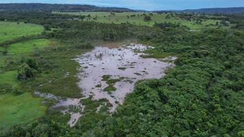 Small Swamp in Itaja Goias video