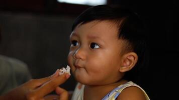 côté vue mère alimentation sa asiatique bébé avec riz ou légume purée. maman en essayant à alimentation peu bébé garçon à Accueil prendre plaisir et dépenses temps ensemble. bébé alimentation video