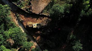 máquina limpieza arriba árbol trompa, deforestación video