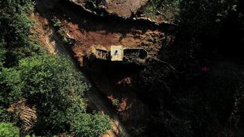 macchina pulizia su albero tronco, la deforestazione video