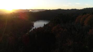 floresta rio às pôr do sol aéreo video