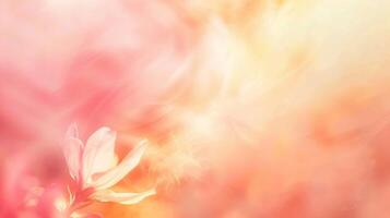 abstract blur of pastel beautiful peach pink photo