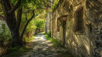 ancient stone building narrow footpath green tree photo