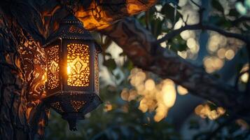 antique lantern glowing in an arabic tree photo