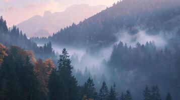 autumn forest foggy mountain range at dawn photo