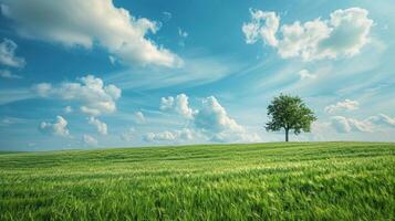 hermosa paisaje con verde césped campo foto