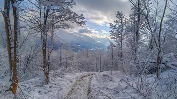 beautiful winter nature landscape amazing mountain photo