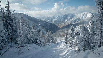 beautiful winter nature landscape amazing mountain photo