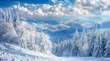 beautiful winter nature landscape amazing mountain photo