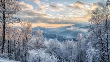 beautiful winter nature landscape amazing mountain photo