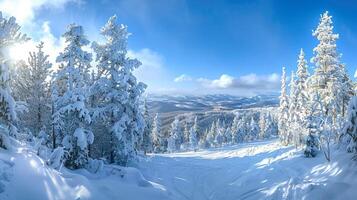 beautiful winter nature landscape amazing mountain photo