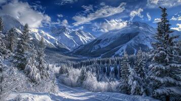 beautiful winter nature landscape amazing mountain photo