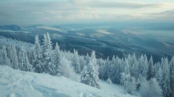 beautiful winter nature landscape amazing mountain photo