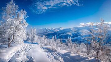 beautiful winter nature landscape amazing mountain photo