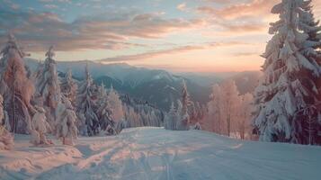 hermosa invierno naturaleza paisaje increíble montaña foto