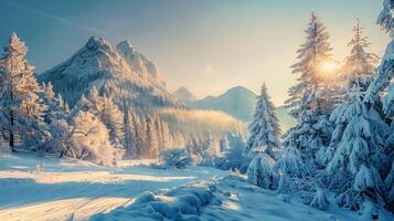 beautiful winter nature landscape amazing mountain photo