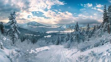 beautiful winter nature landscape amazing mountain photo