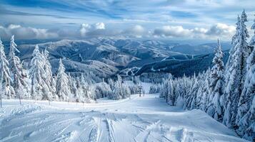 beautiful winter nature landscape amazing mountain photo