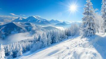 beautiful winter nature landscape amazing mountain photo