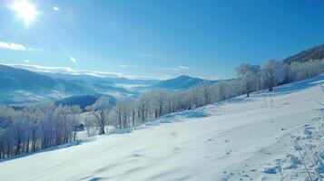 beautiful winter nature landscape amazing mountain photo