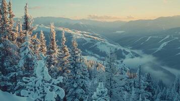 beautiful winter nature landscape amazing mountain photo