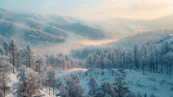 hermosa invierno naturaleza paisaje increíble montaña foto