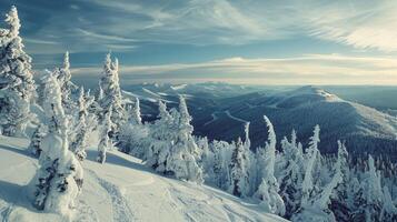 beautiful winter nature landscape amazing mountain photo