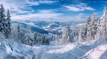 beautiful winter nature landscape amazing mountain photo