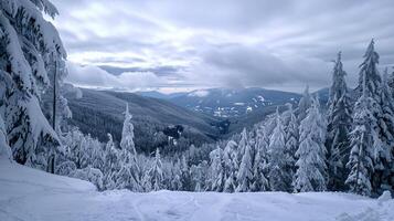 beautiful winter nature landscape amazing mountain photo