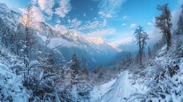 beautiful winter nature landscape amazing mountain photo