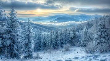 beautiful winter nature landscape amazing mountain photo