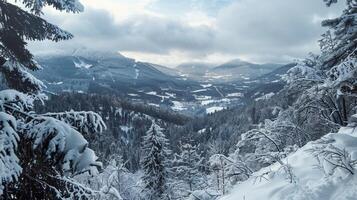 beautiful winter nature landscape amazing mountain photo