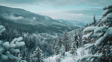 hermosa invierno naturaleza paisaje increíble montaña foto