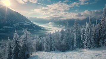 beautiful winter nature landscape amazing mountain photo