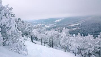 beautiful winter nature landscape amazing mountain photo