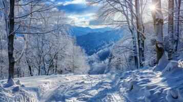 beautiful winter nature landscape amazing mountain photo