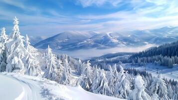 beautiful winter nature landscape amazing mountain photo