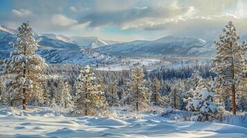 hermosa invierno naturaleza paisaje increíble montaña foto