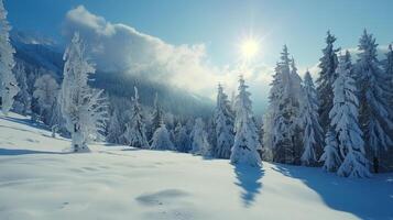 beautiful winter nature landscape amazing mountain photo