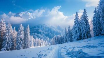 beautiful winter nature landscape amazing mountain photo