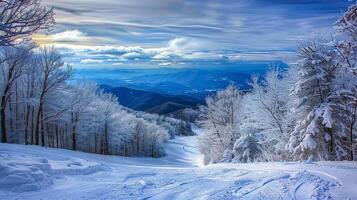 beautiful winter nature landscape amazing mountain photo