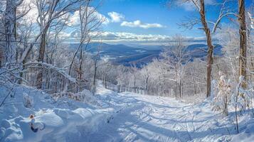 beautiful winter nature landscape amazing mountain photo