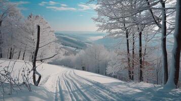 beautiful winter nature landscape amazing mountain photo