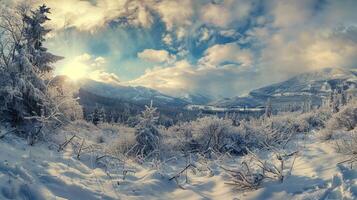 beautiful winter nature landscape amazing mountain photo